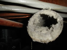 Dryer Vent Before